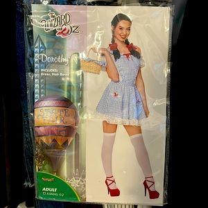 Dorthy from the Wizard of Oz costume